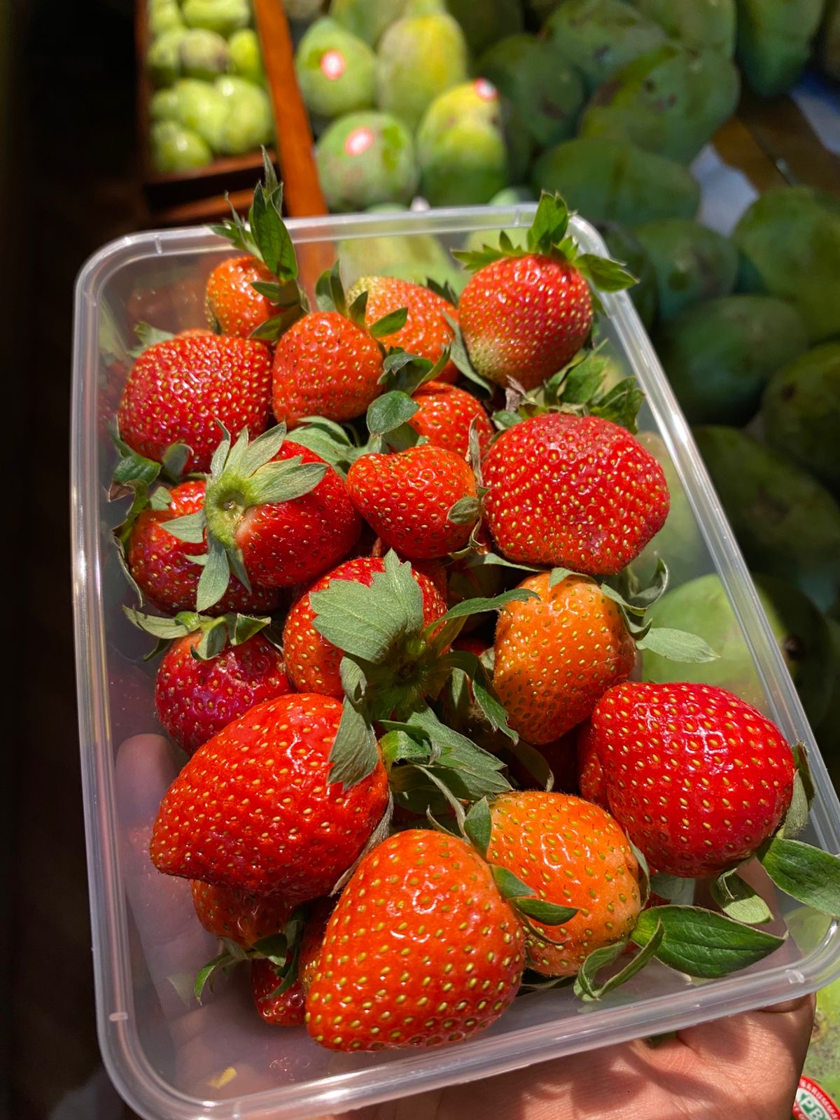 STRAWBERRY LOKAL