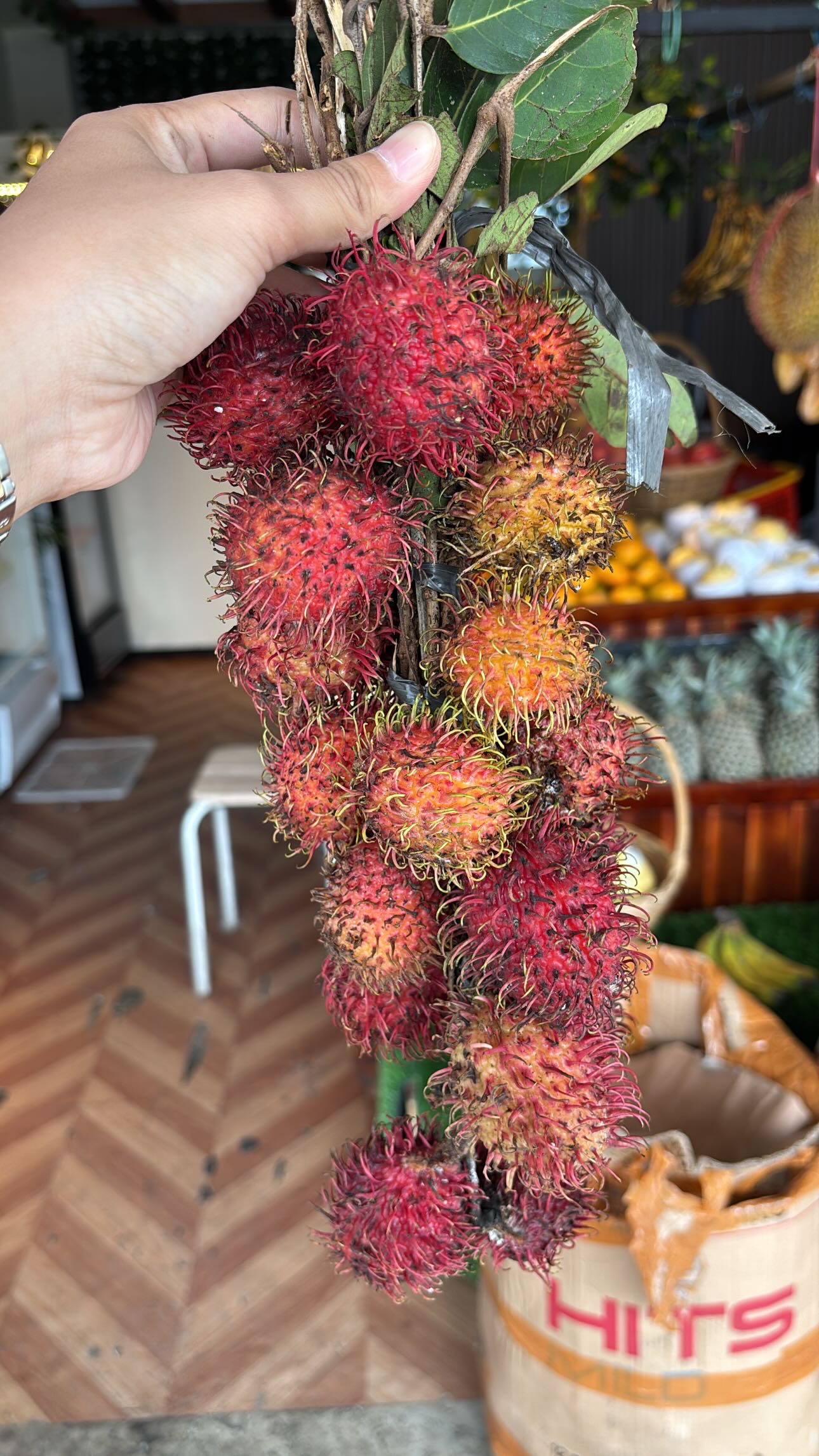 RAMBUTAN