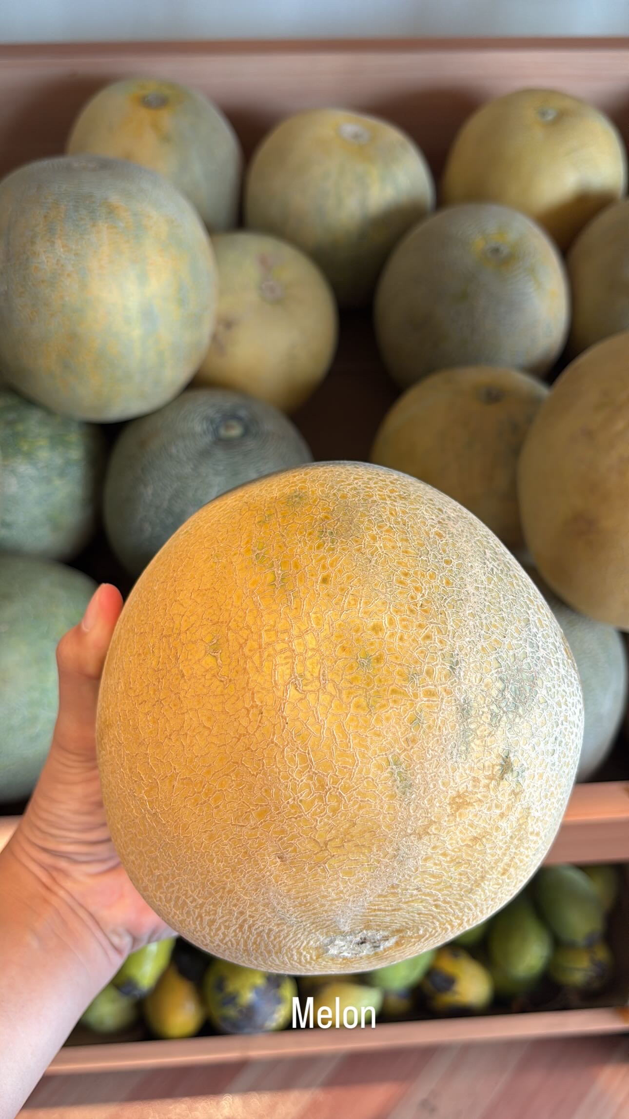 MELON