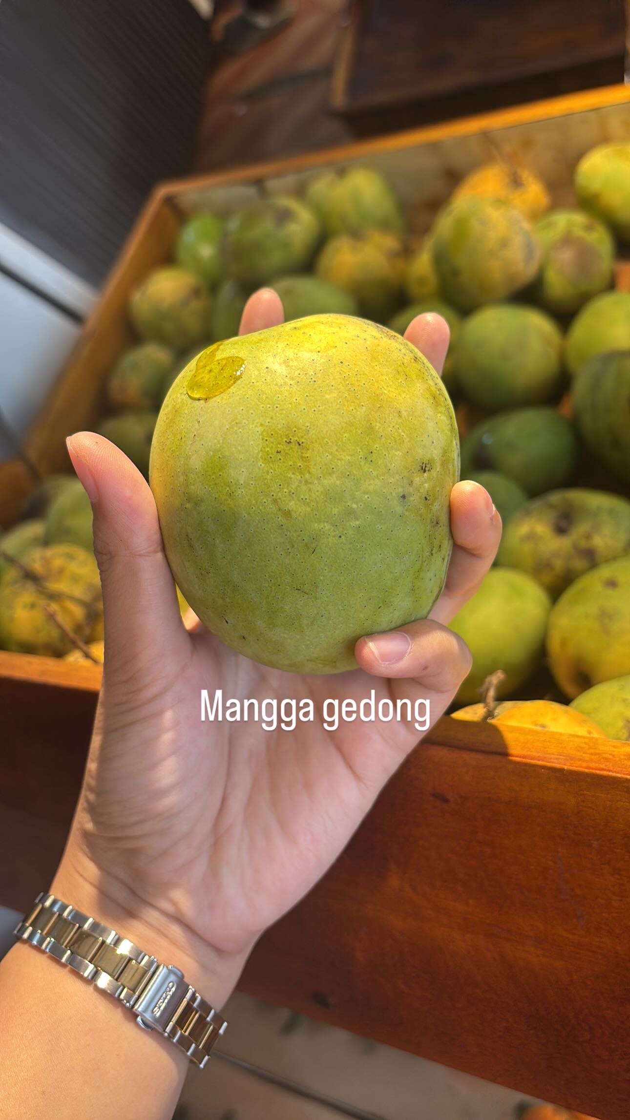 MANGGA HARUMANIS