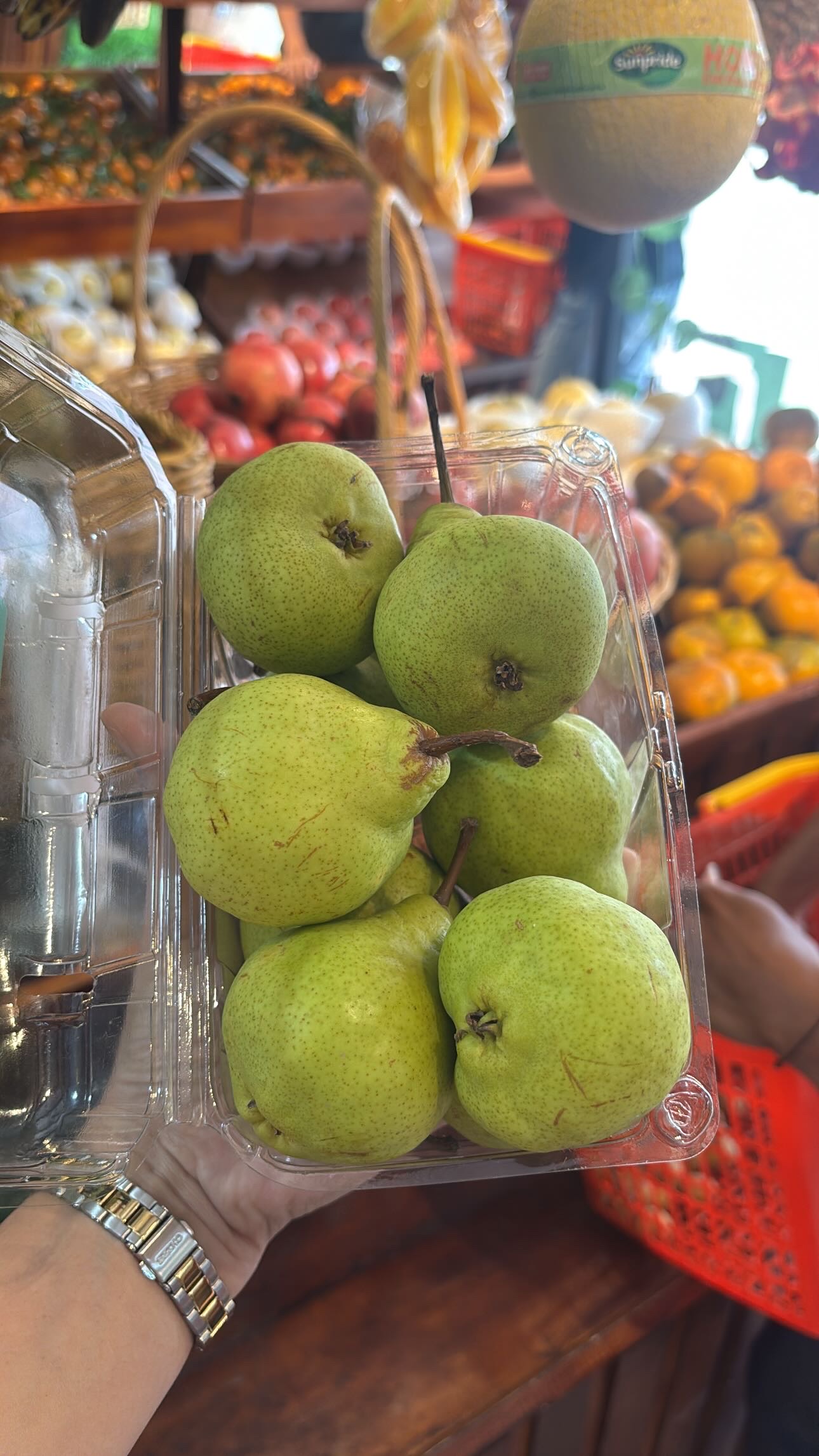 JAMBU KRISTAL SUNPRIDE